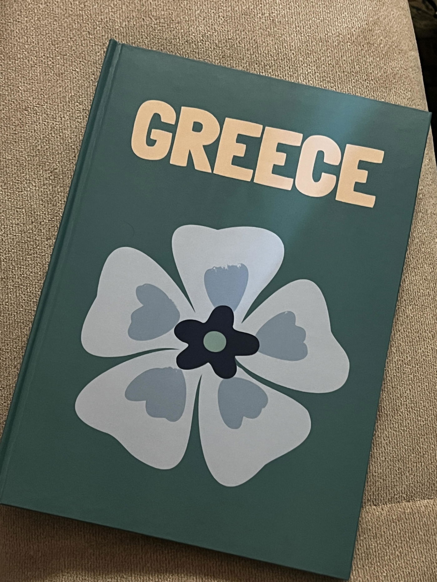 Photo of a Picskis book from Mariam Effat